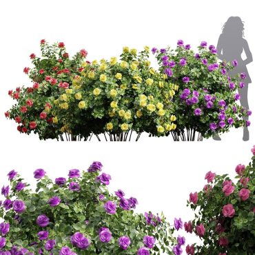 مدل سه بعدی گل فضای باز 251