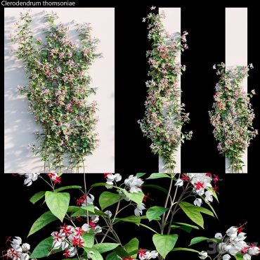 مدل سه بعدی گل دیواری 188