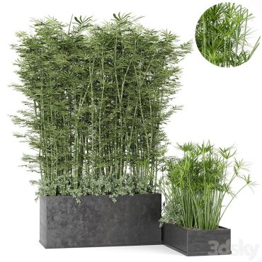 مدل سه بعدی گل فضای باز 255