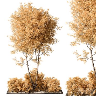 مدل سه بعدی گل فضای باز 256