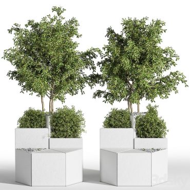 مدل سه بعدی فضای باز و محوطه 233
