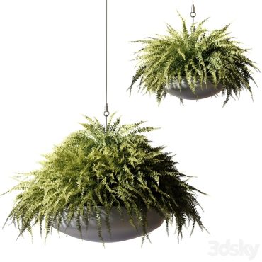 مدل سه بعدی گل آویز 206