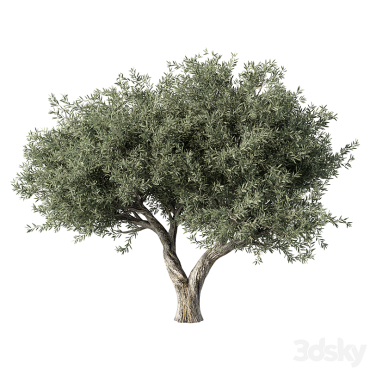 مدل سه بعدی درخت 259