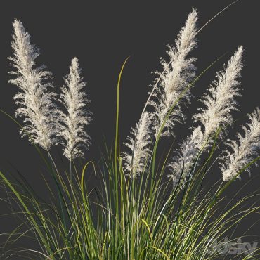 مدل سه بعدی گل فضای باز 314