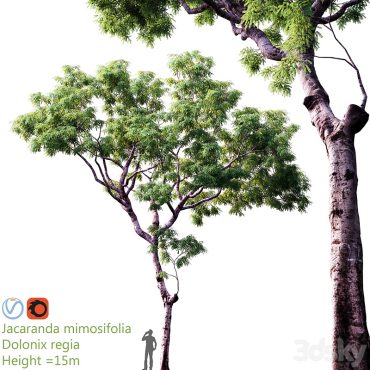مدل سه بعدی درخت 278