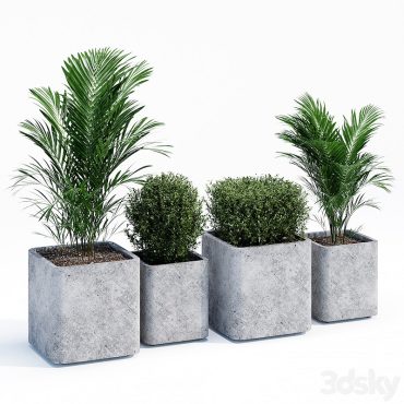 مدل سه بعدی گل آپارتمانی 106