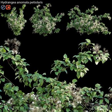 مدل سه بعدی گل فضای باز 303