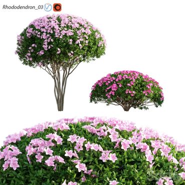 مدل سه بعدی گل فضای باز 294