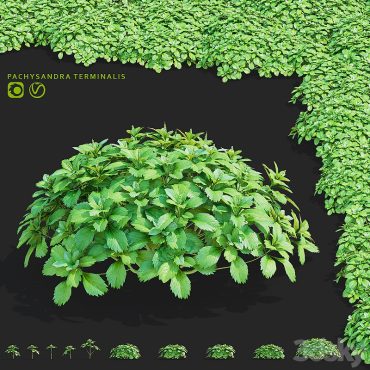 مدل سه بعدی گل فضای باز 106