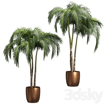 مدل سه بعدی گل آپارتمانی 857