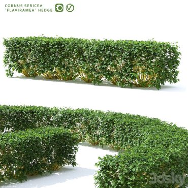 مدل سه بعدی گل فضای باز 326
