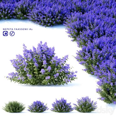 مدل سه بعدی گل فضای باز 320