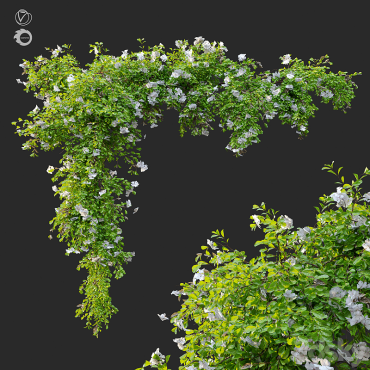 مدل سه بعدی گل آویز 223