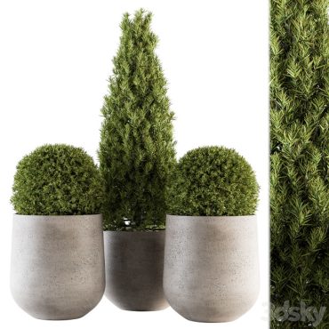 مدل سه بعدی گل فضای باز 321