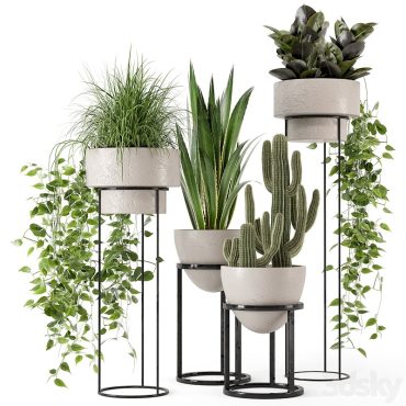 مدل سه بعدی گل آپارتمانی 863