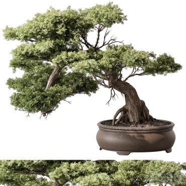 مدل سه بعدی گل آپارتمانی 868