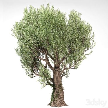 مدل سه بعدی درخت 298