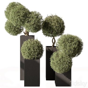 مدل سه بعدی گل فضای باز 336