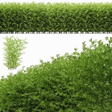 مدل سه بعدی گل فضای باز 344
