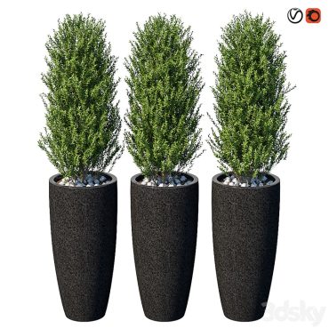 مدل سه بعدی گل فضای باز 352
