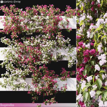 مدل سه بعدی گل دیواری 220
