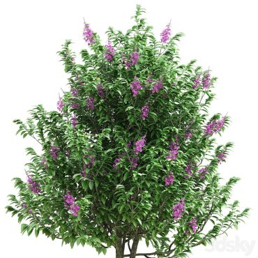 مدل سه بعدی درخت 305