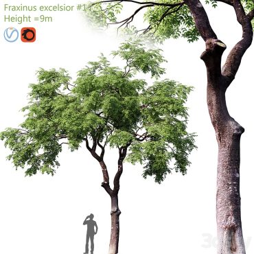 مدل سه بعدی درخت 329