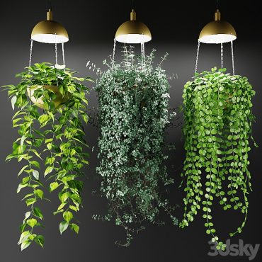 مدل سه بعدی گل آویز 240