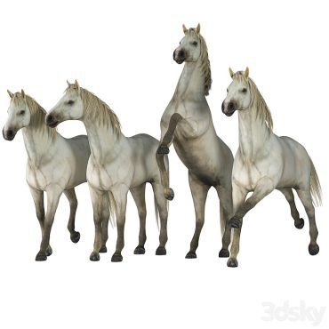 مدل سه بعدی اسب 233