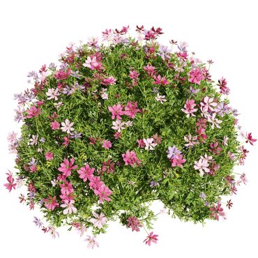 مدل سه بعدی گل فضای باز 398
