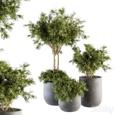 مدل سه بعدی گل فضای باز 409