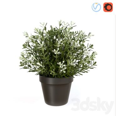 مدل سه بعدی گل و گلدان آپارتمانی 1064