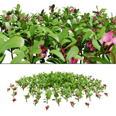 مدل سه بعدی گل فضای باز 411