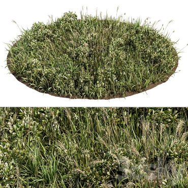 مدل سه بعدی چمن 115 مدل سه بعدی چمن 115