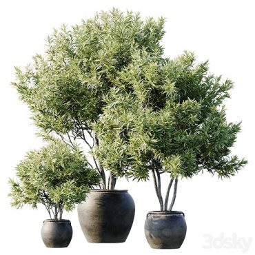 مدل سه بعدی گل آپارتمانی 823 مدل سه بعدی گل آپارتمانی 823