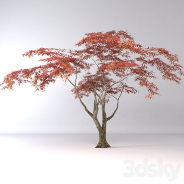 مدل سه بعدی درخت 107 مدل سه بعدی درخت 107