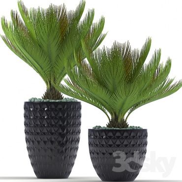 مدل سه بعدی گل و گلدان آپارتمانی 136