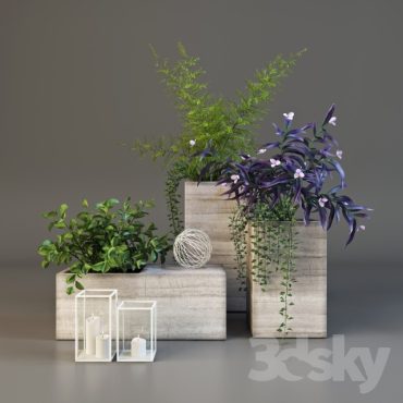 مدل سه بعدی گل آپارتمانی 104