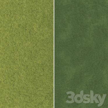 مدل سه بعدی چمن 120 مدل سه بعدی چمن 120