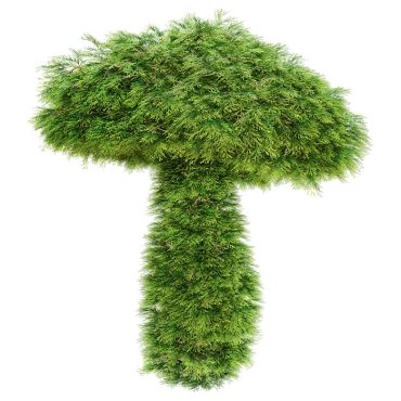 مدل سه بعدی درخت 132 مدل سه بعدی درخت 132