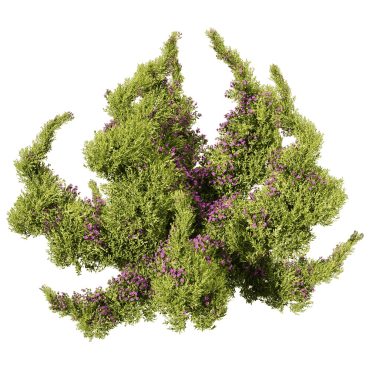 مدل سه بعدی درخت تزیینی 144