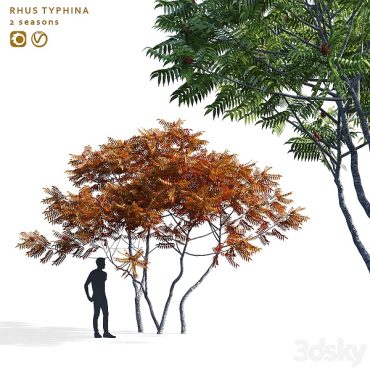 مدل سه بعدی درخت 147 مدل سه بعدی درخت 147