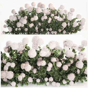 مدل سه بعدی گل فضای باز 143 مدل سه بعدی گل فضای باز 143