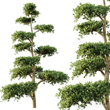 مدل سه بعدی درخت تزیینی 175 مدل سه بعدی درخت تزیینی 175