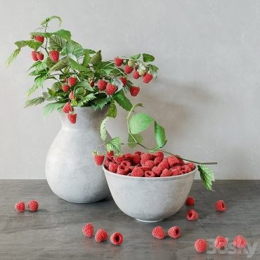مدل سه بعدی میوه 216