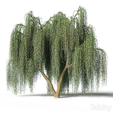 مدل سه بعدی درخت 197 مدل سه بعدی درخت 197