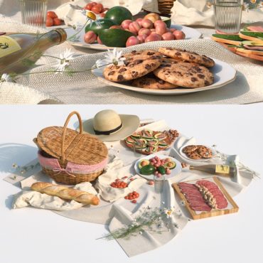مدل سه بعدی پیک نیک 246
