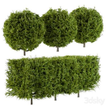 مدل سه بعدی درخت 233 مدل سه بعدی درخت 233