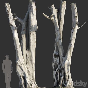 مدل سه بعدی درخت 224 مدل سه بعدی درخت 224