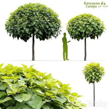 مدل سه بعدی درخت 249